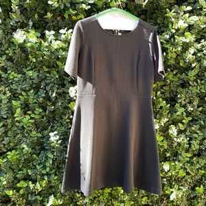 Ann Taylor LOFT LBD Black A-line Dress Short Sleeves, exposed back zipper Size 8